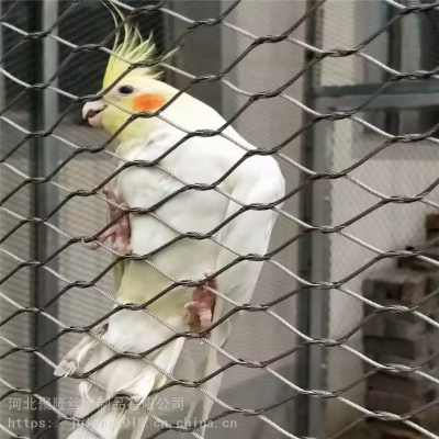 Edelstahlseilnetz für Zoo-Vogelschutzgitter / Treppenbeschl?ge