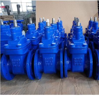 DIN Cast Iron WCB A216 GGG50 PN16 Metal Seat Soft Seal Flange Ductile Lifting Manual Durable Gate Valve With Brass Seal photo-5