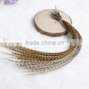 2015 Fashion Wholesale Colored Real Roosted Feather Hair Extension