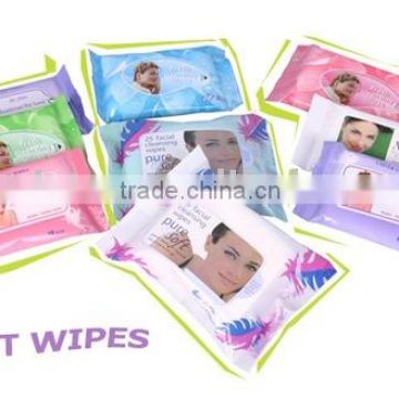 Wet Wipes, lady cleaning wet wipes