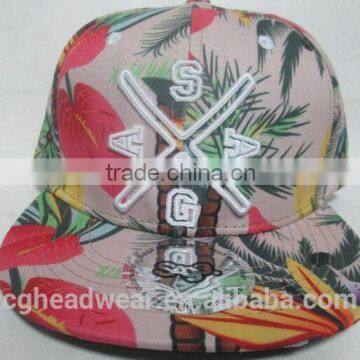 Custom snapback hats wholesale/snapback cap/simple snapback cap