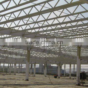steel structure warehouse/workshop/building