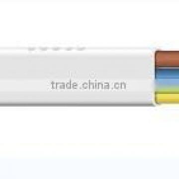 BVVB 2mm 4mm Electrical Wire for Sale photo-3