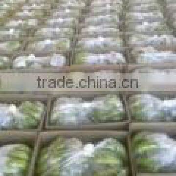 Cavandish Banana photo-4