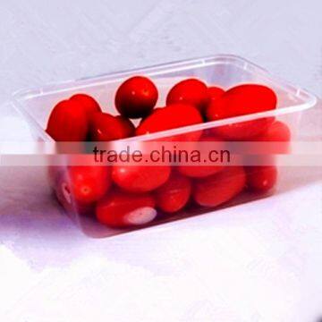 disposable packing plastic container