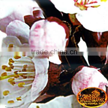 Excellent Quality DAZZLE NO.DGMA182-5 Flower Design Hydrographic film Hydrographics Water Transfer Printing Film