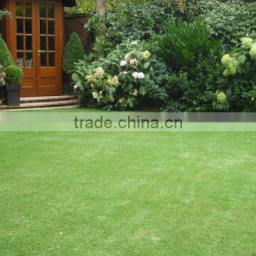 Fake Grass Producer for Residential photo-5