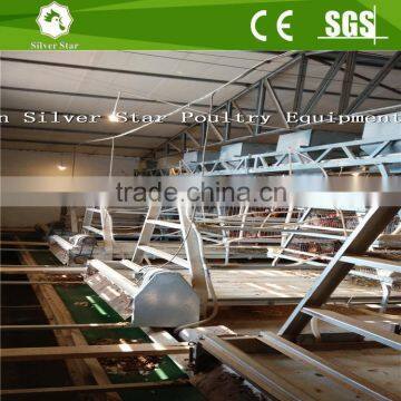 3 Tier A Type Ladder Chicken Cages for Layers With pp Belt Manure Removal System photo-4