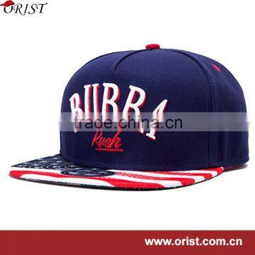 3d embroidery snapback hat /3d embroidery fabrics baseball caps