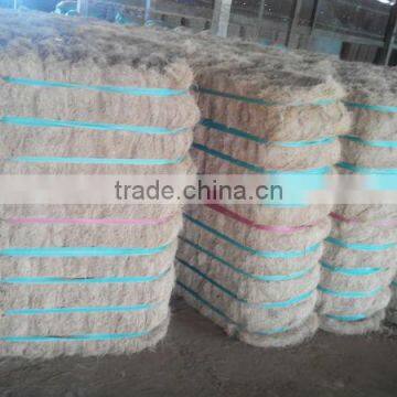 Viet Nam Coconut Fiber