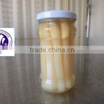 organic vegetable canned white asparagus