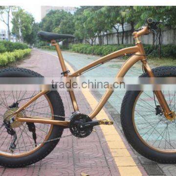 China Factory Hot Sale Snow Bike /Men Gender Fat Tyre Beach Bike