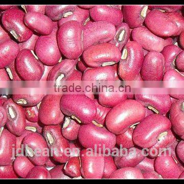 Crop 2014 Red cowpea beans