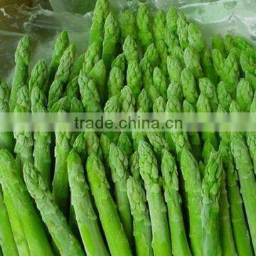 IQF Green Asparagus