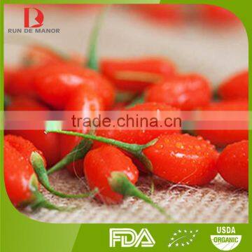 top quality organic dried goji berry from China / red goji / health food