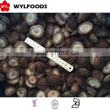 2016 Hot sale frozen shiitake mushroom with good price