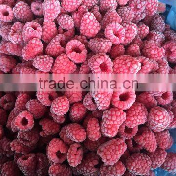 Grade A 95% Whole Frozen IQF Raspberry photo-2