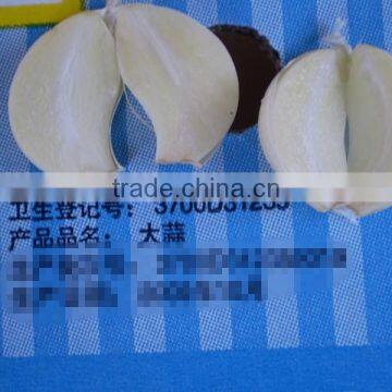 Fresh Indonesian White Garlic & Import China Pure Garlic, White Garlic, Ginger & Carrot photo-6