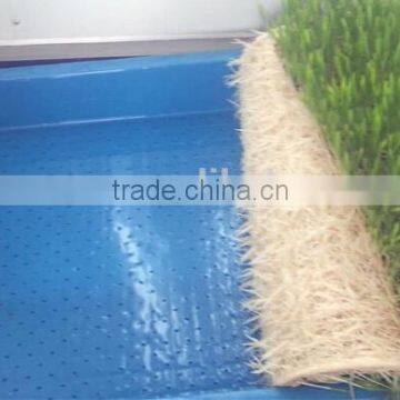 Hydroponic Animal Fodder Sprouting Machine for Growing Barley Grass,green Grass Fodder photo-2