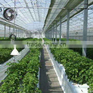 vegetable planting nutrient soil corporation