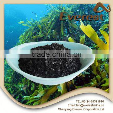 Strong Disease Resistance Factory Price 100% Water Soluble Seaweed Extract Flake
