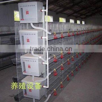 15-20 Years Lifetime Chicken Cages for Sale Cheap Factory Price
