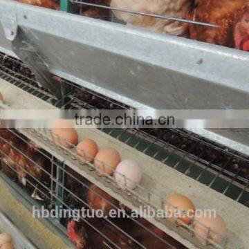 Egg collection system Easy operation