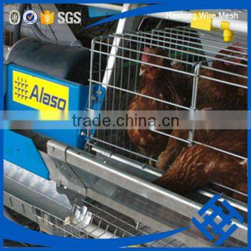 Wholesale Chicken Cage H Type Best Price Poultry Farm Egg Layer photo-3