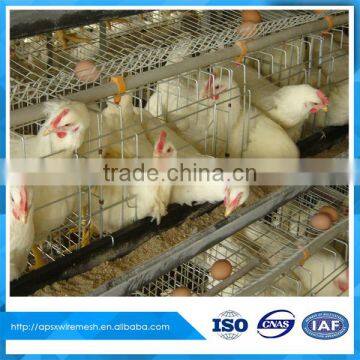 a type poultry farm laying cage for hen rearing