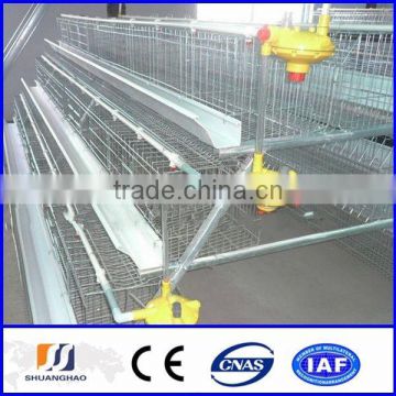 2015 New !!! chicken coop galvanized wire mesh / chicken cage (manufactory)