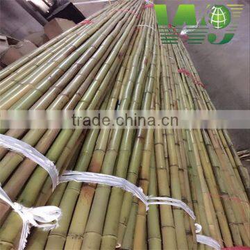 WY-213 2016 Hot Sale Natural Dry Strong Whole Part Moso Bamboo Poles for Agriculture and Construction photo-3