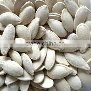 Pumpkin Seeds Color Sorter