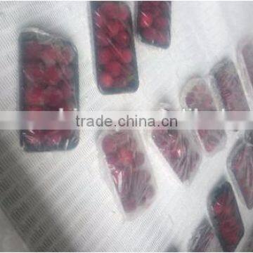 Fish Seafood Quick Freezing Processing IQF Tunnel Freezer Equipment photo-5