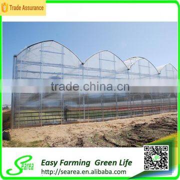 Commercial Used Rodent Roof Green House for Sale photo-2