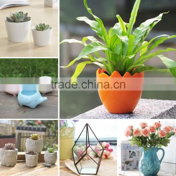 Wholesale succulent ceramic plant pots colorful plastic wholesale flower pots