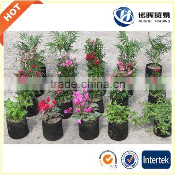 2016 Plant Nursery Fabric Garden Pots photo-2