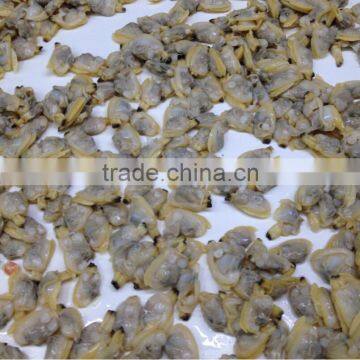 bulk pack clam meat