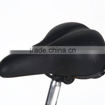 Baogl 36V250W Folding Electric Bike With 8FUN Gearless Hub With LCD Display photo-6