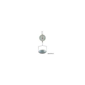 Sell Hanging Scale