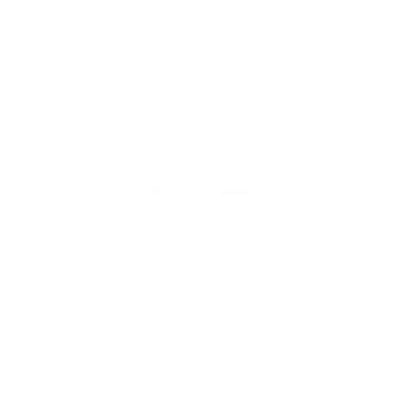 SINORIENT TYRE CO., LTD