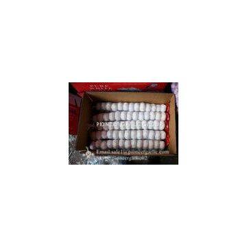 4.5cm 5cm 5.5cm Pure White Garlic 3p Small Packing 1n 10kg Carton Box