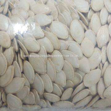 Shine Skin Pumpkin Seed