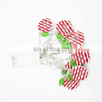 Best Selling Home Decoration Led Fairy String Light 10L Metal Apple String Light photo-4
