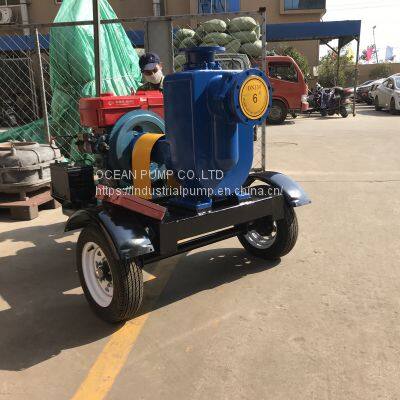 Agriculture Irrigation Pump Good Quanlity photo-3