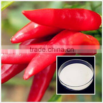capsaicin powder