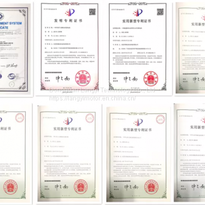 Replace Maxon Faulhaber Coreless Tattoo Motor 2607 Long Lifetime DC Motor Low Noise Brushed Coreless Motor Tattoo Machine Motor photo-4