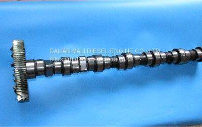 Deutz Camshaft 04909276 04908252