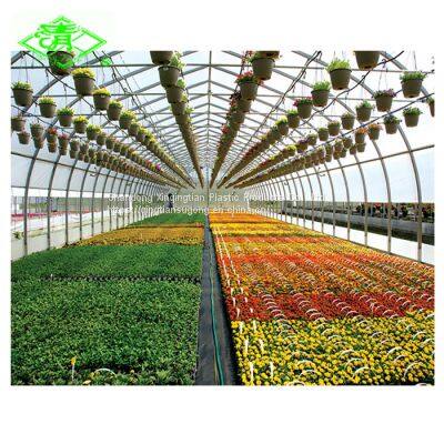 UV PE Greenhouse Film For Planting Tomatoes photo-5