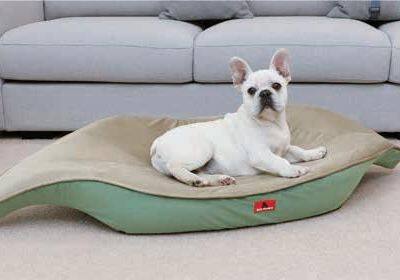 Leaf Shape Creative Pet Bed