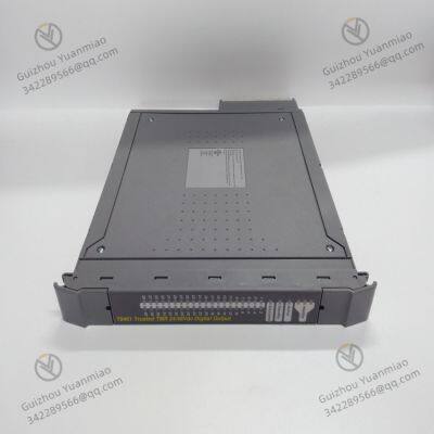 ICS Triplex T8461 Digital Output Module TMR 24 Vdc photo-2